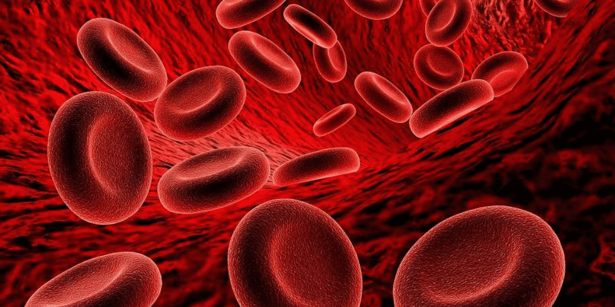 Anaemia