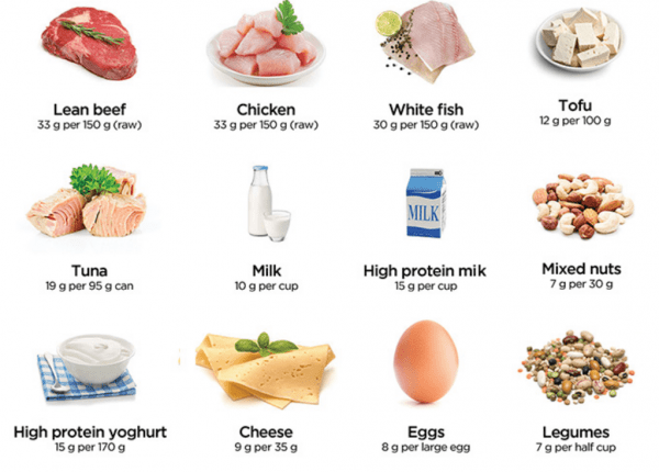 protein-chart