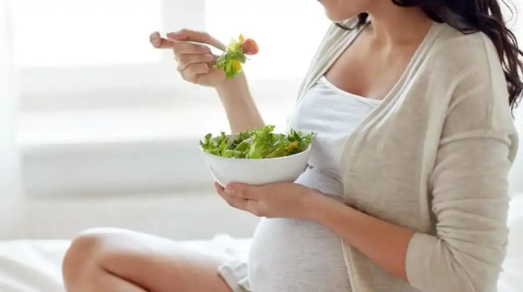 Food and Pregnancy First Trimester